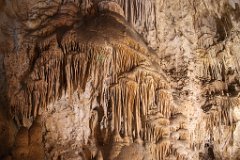 26_Carlsbad Caverns National Park_08